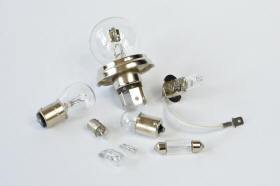 Bulbs